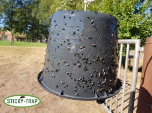 Insektenschutz
