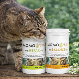 MOMO-Aktiv Fellwechsel Balance <strong>Set</strong>