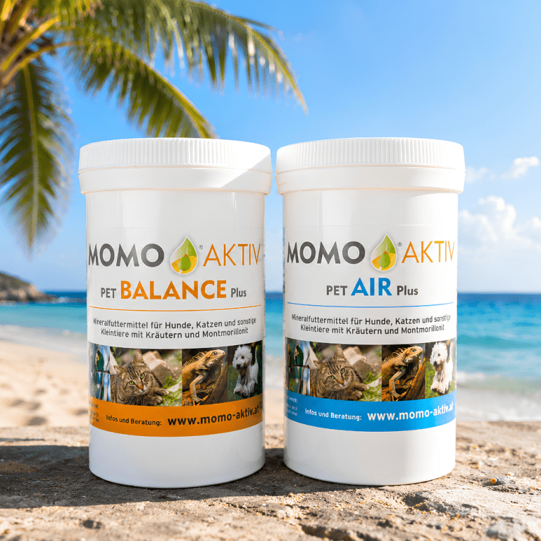 Momo-Aktiv Sommeraktion 1zu1